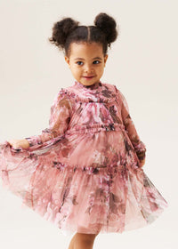 Eleanor Floral Print Mesh Dress