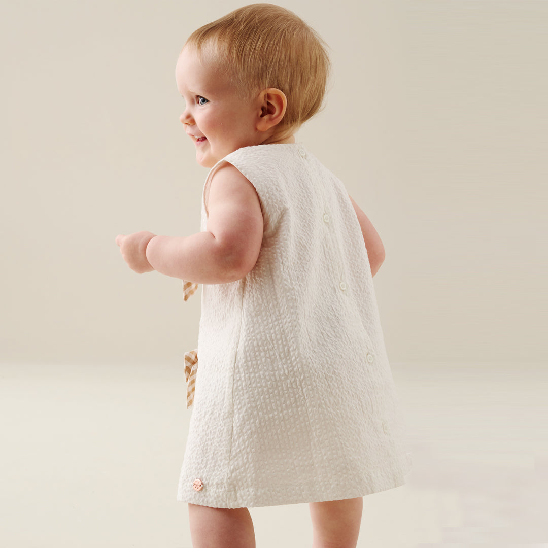 Daphne Gingham Bow Dress And Bloomer