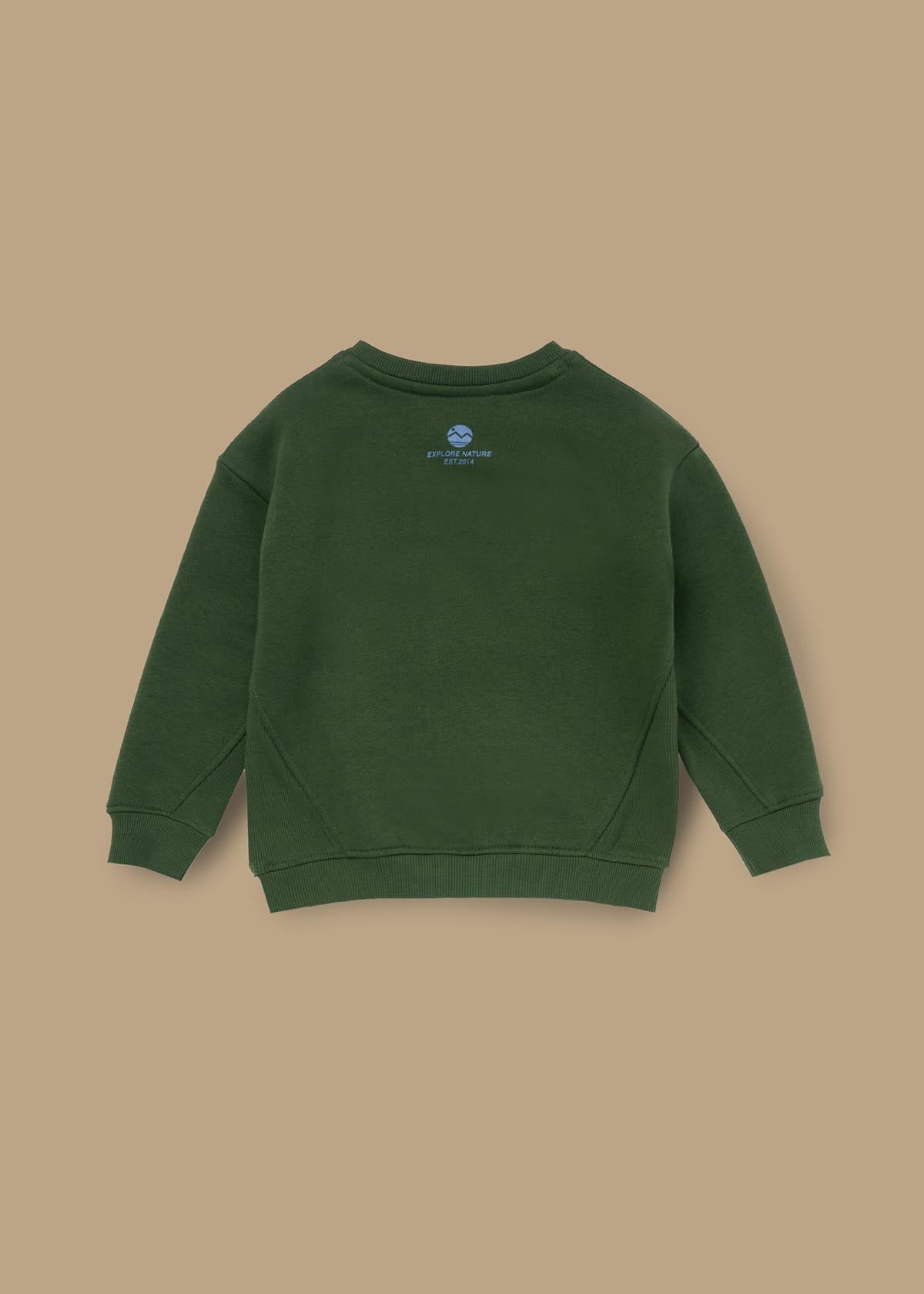 online baby boy seasonal print sweatshirt