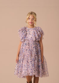 Juliana Pink Printed Frill Mesh Dress