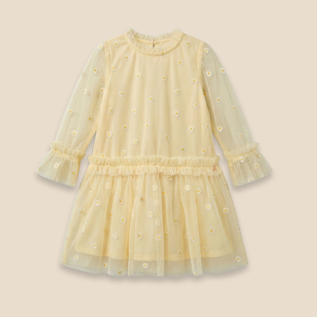 Neve Daisy Embroidered Mesh Dress - Angel & Rocket