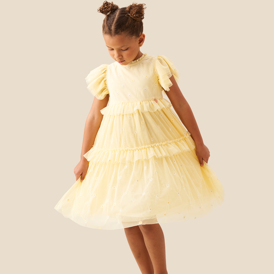 Luisa Embroidered Yellow  Mesh Dress