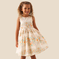 Primrose Print Stripe Sash Waist Dress