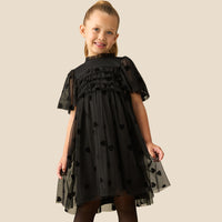 Isla Flocked Heart Mesh Dress