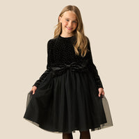 Elsie Balck Velvet Tulle Dress