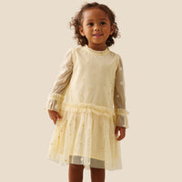 Neve Daisy Embroidered Mesh Dress