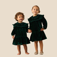 Dotty Scalloped Frill Embroidered Collar Velvet Dress