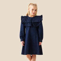 Paige Denim Collar Dress