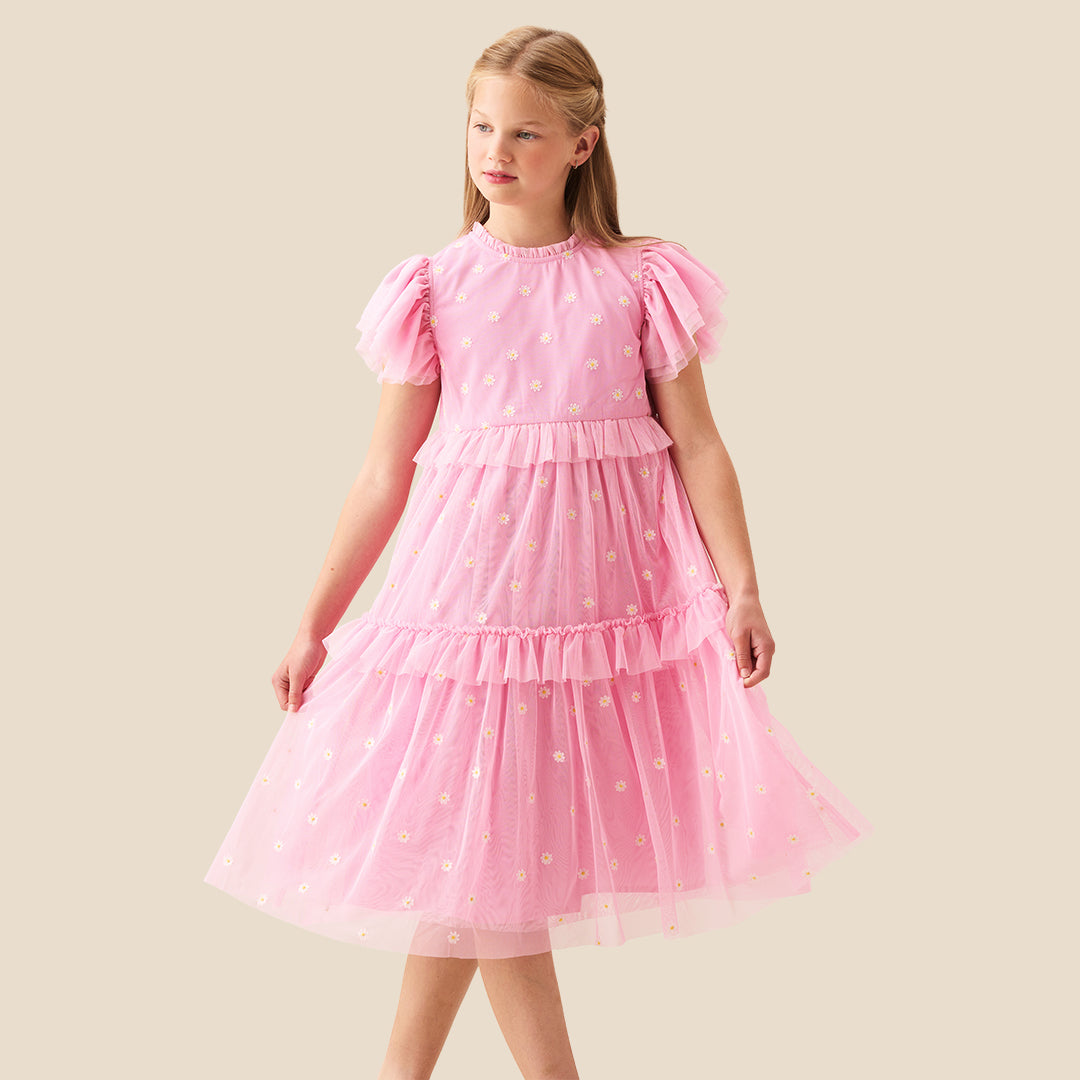 Luisa Pink Embroidered Mesh Dress