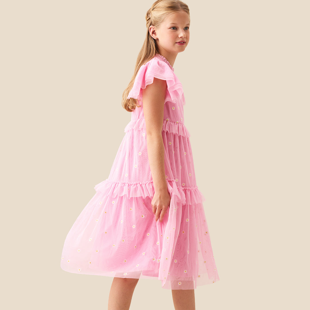 Luisa Pink Embroidered Mesh Dress