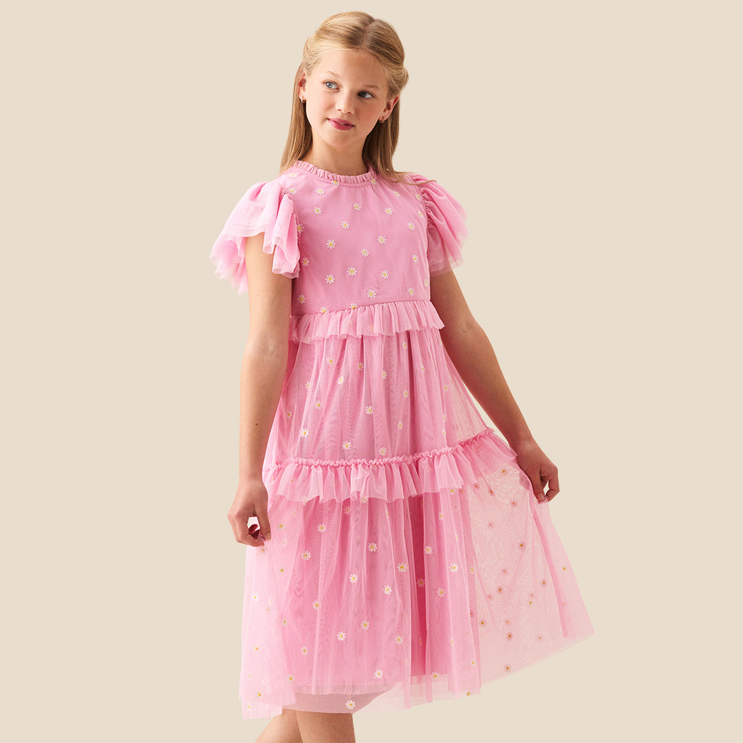 Luisa Pink Embroidered Mesh Dress