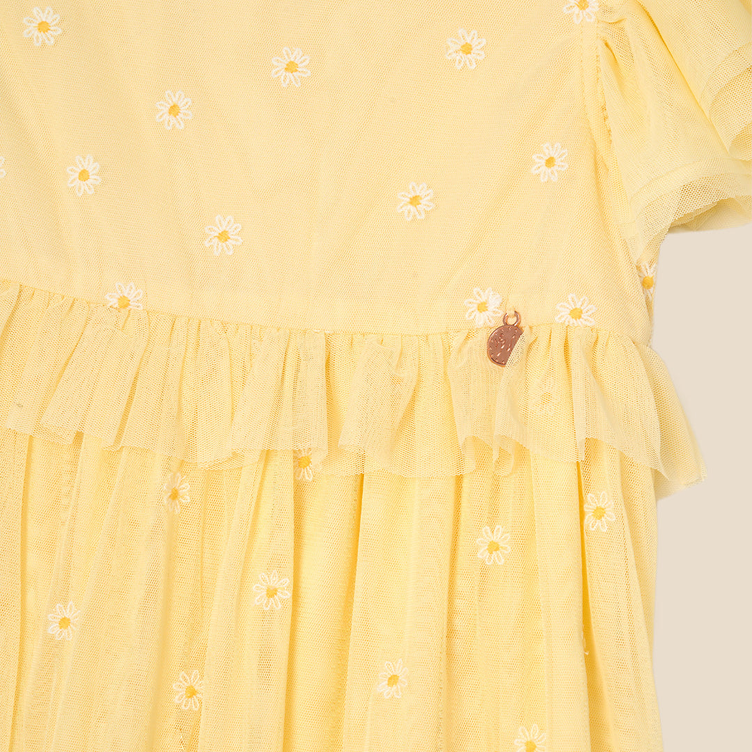 Luisa Embroidered Yellow  Mesh Dress