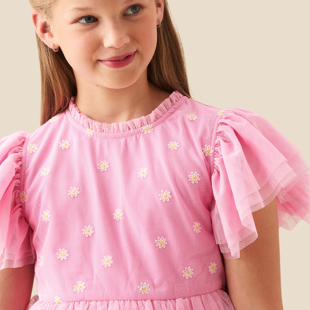 Luisa Pink Embroidered Mesh Dress