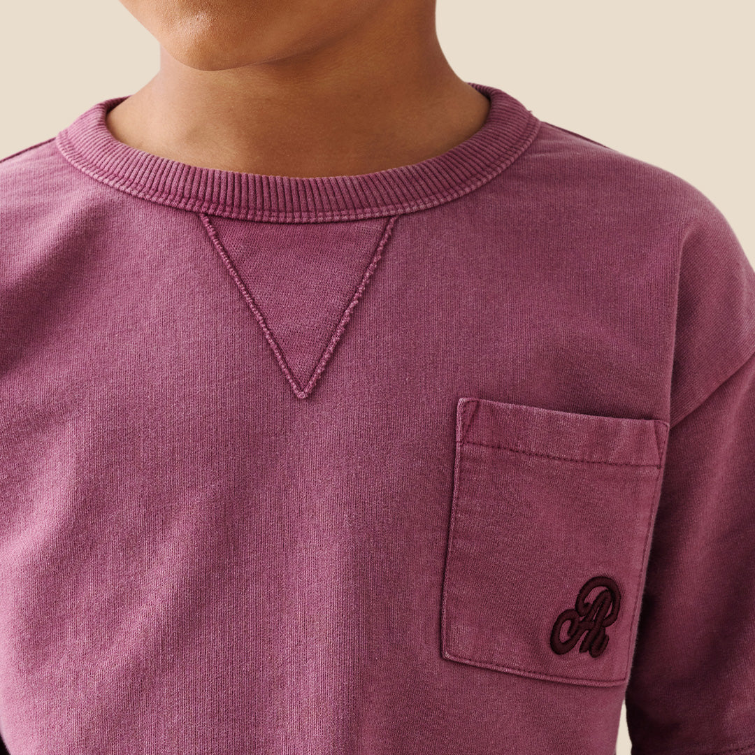 Boys Solid Purple Sweatshirts - Angel & Rocket