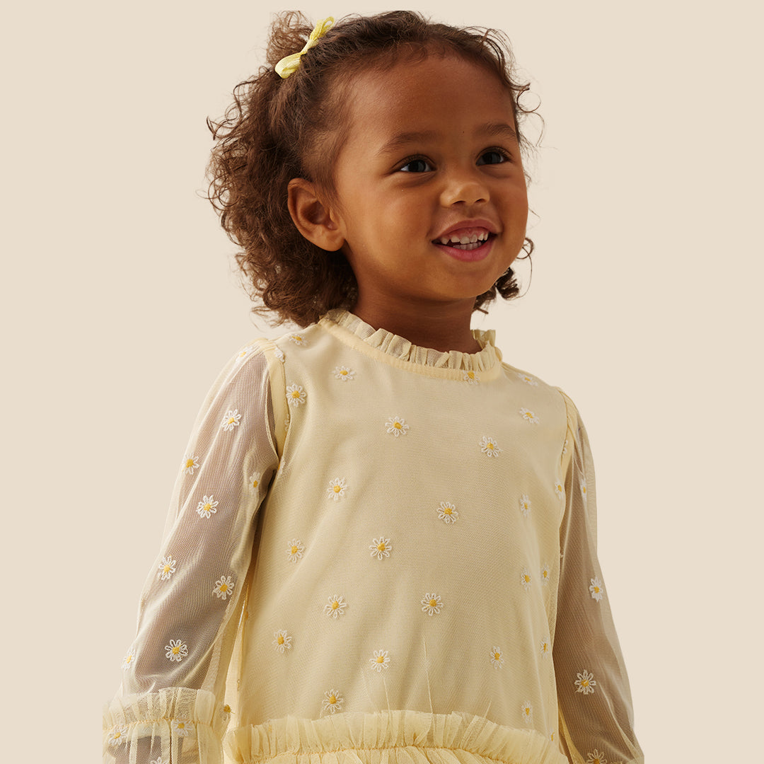 Neve Daisy Embroidered Mesh Dress - Angel & Rocket