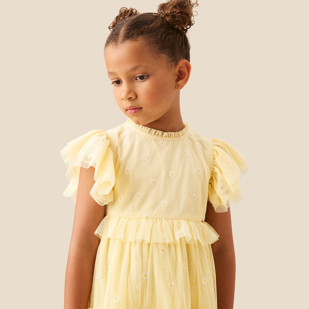 Luisa Embroidered Yellow  Mesh Dress