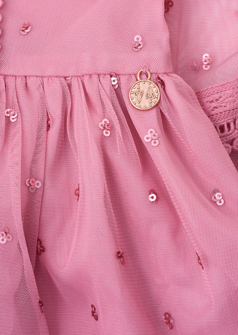 Girls Embroidered and Sequins Embellished Pink Dress