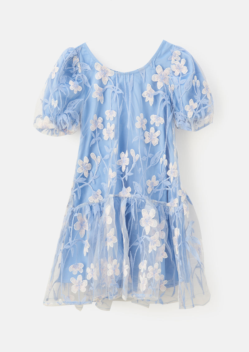 Girls Floral Embroidered Blue Mesh Dress with Puff Sleeves