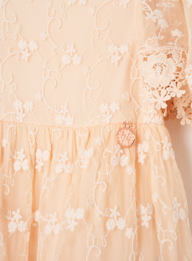 Girls Pink Floral Embroidered Premium Dress