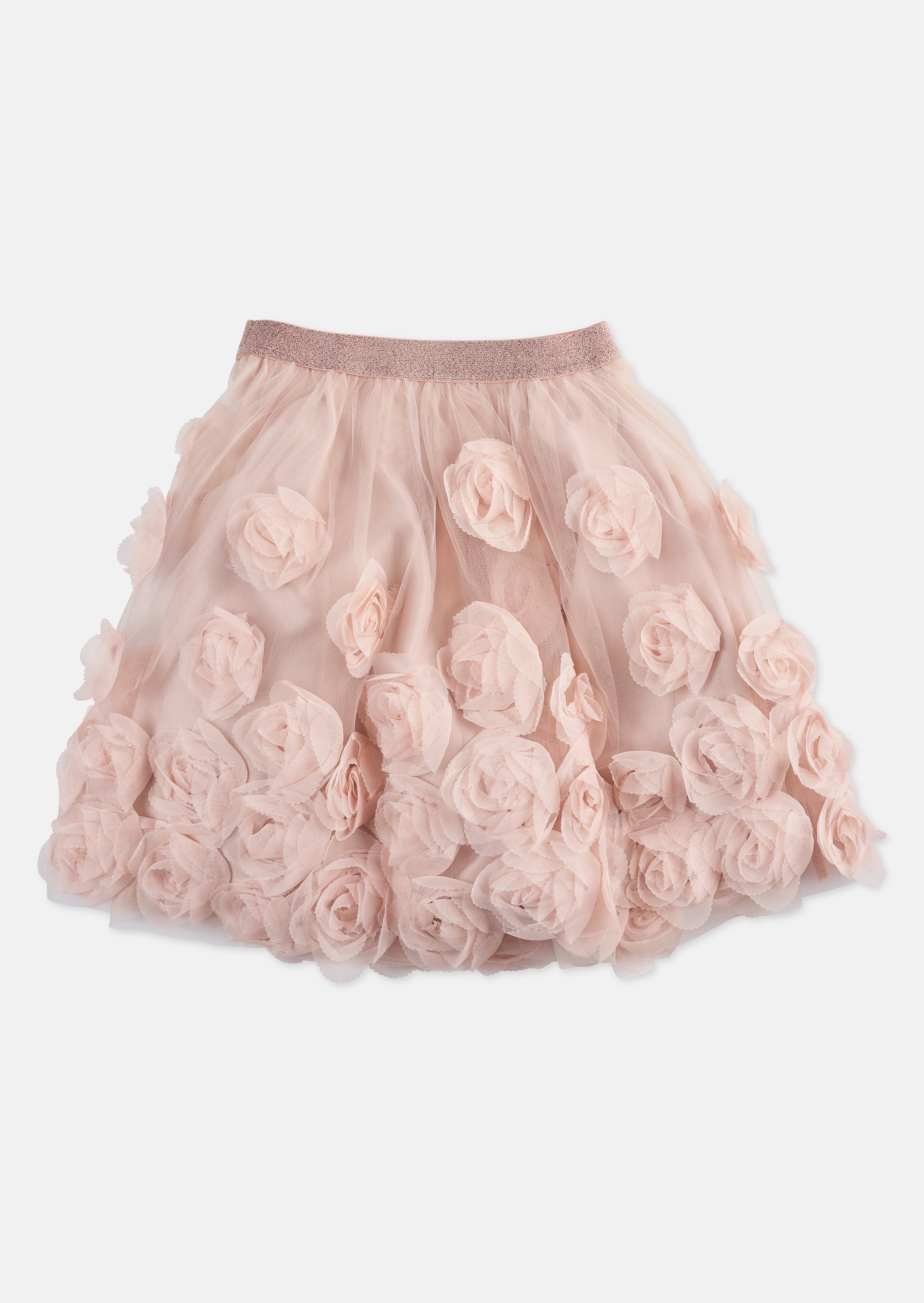 Girls Pink Ruffle Rose Embroidered Mesh Skirt