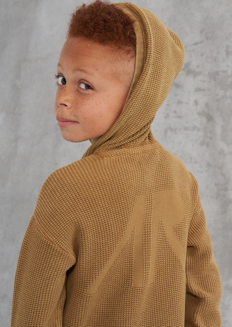 Boys Solid Cotton Brown Hoodie
