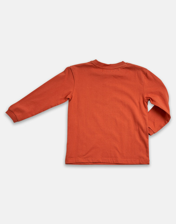 Boys Cotton Solid Orange Sweatshirt