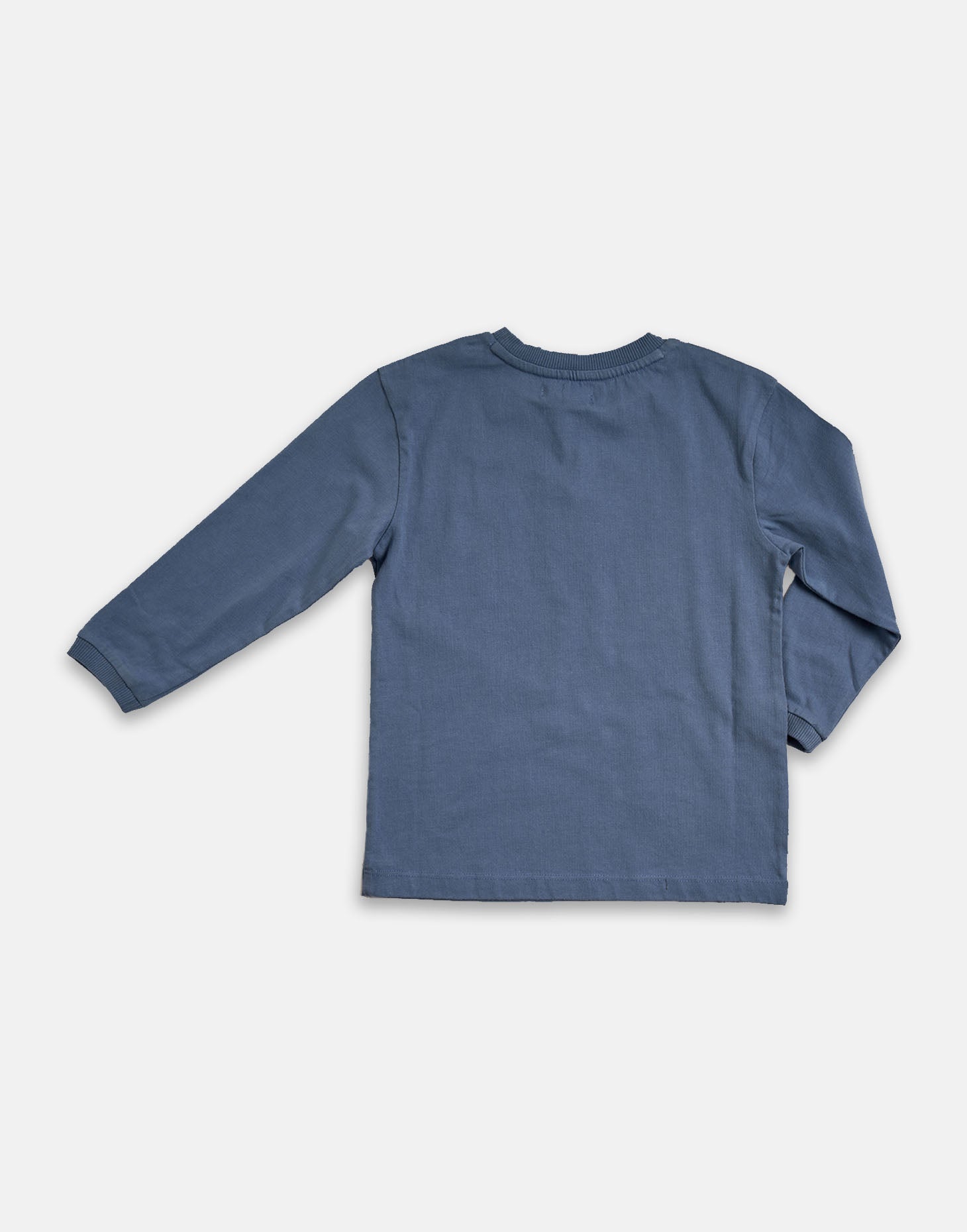 Boys Cotton Solid Blue Sweatshirt