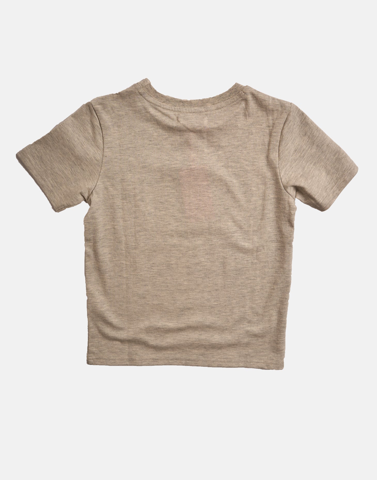 Boys Character Printed Grey Graphic T-Shirt