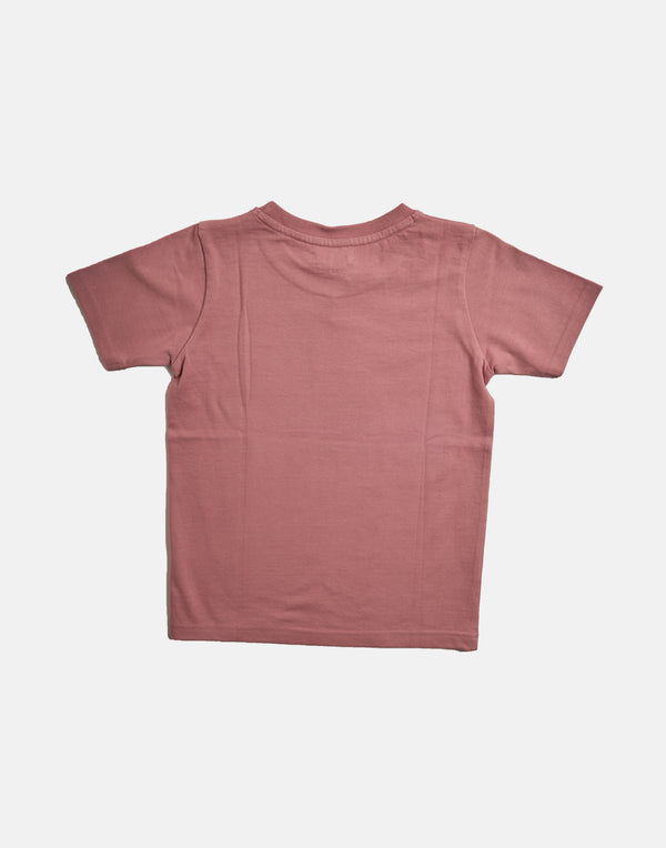 Boys Character Printed Pink Graphic T-Shirt