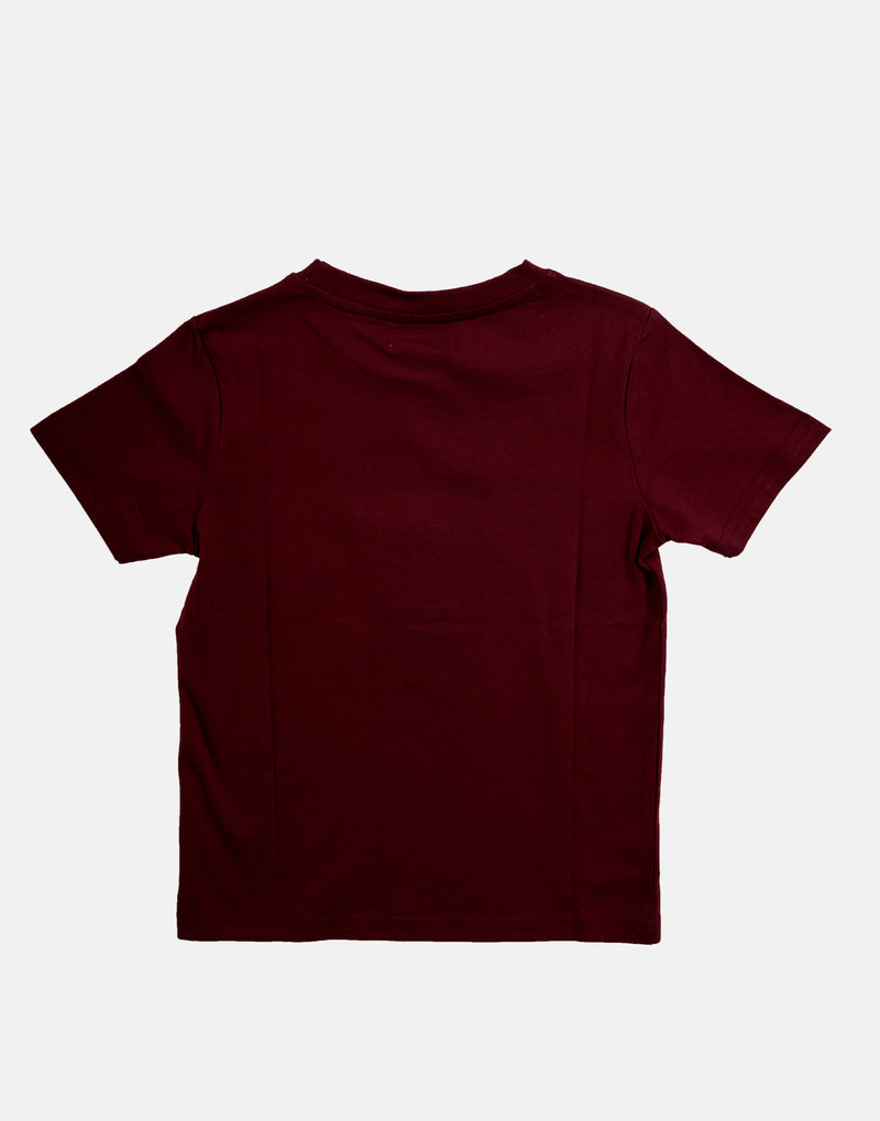 Boys Character Printed Cotton Maroon Graphic T-Shirt