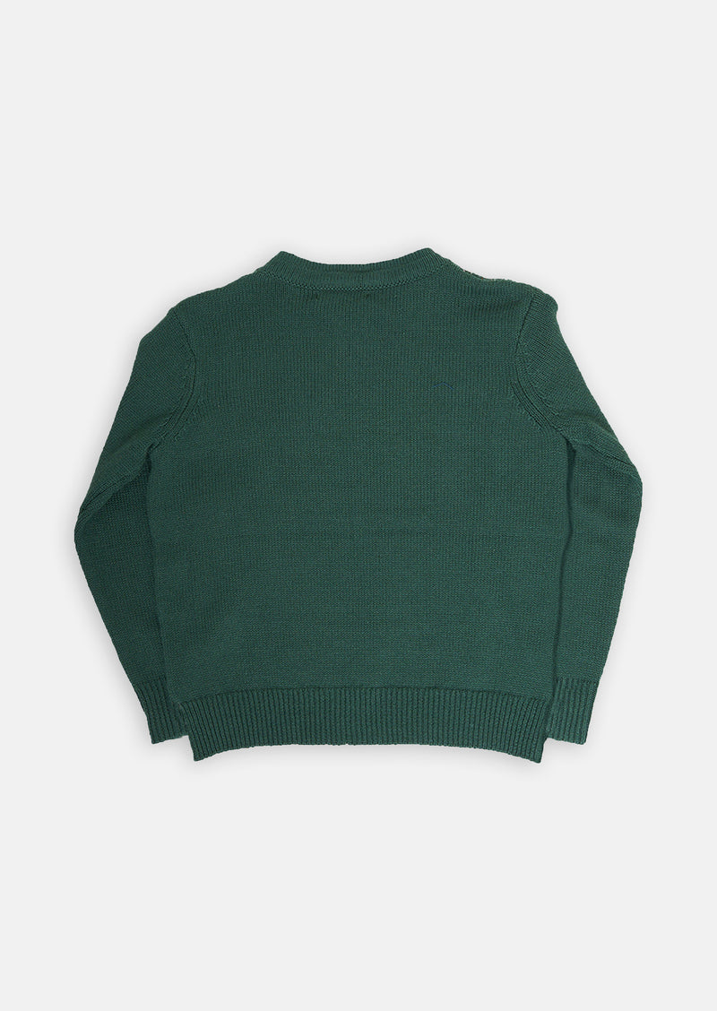 Boys Green Scenic Printed Sweater